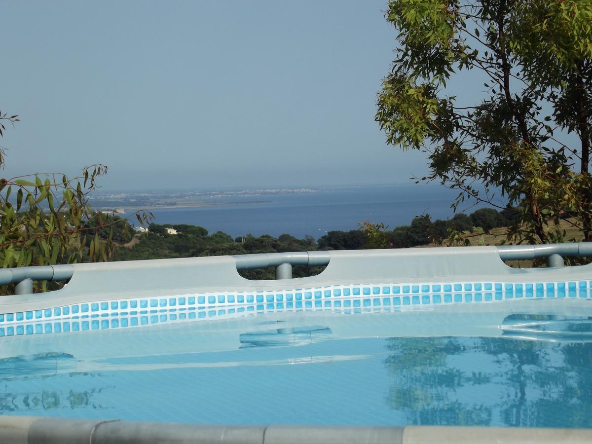 Bed & Breakfast La Volpe E L'Uva Santa Marinella Dış mekan fotoğraf