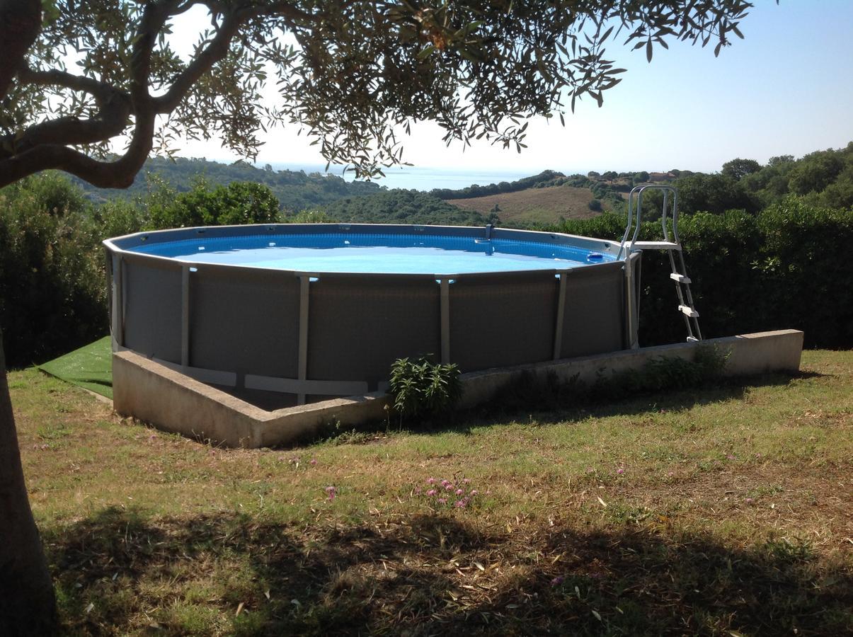 Bed & Breakfast La Volpe E L'Uva Santa Marinella Dış mekan fotoğraf